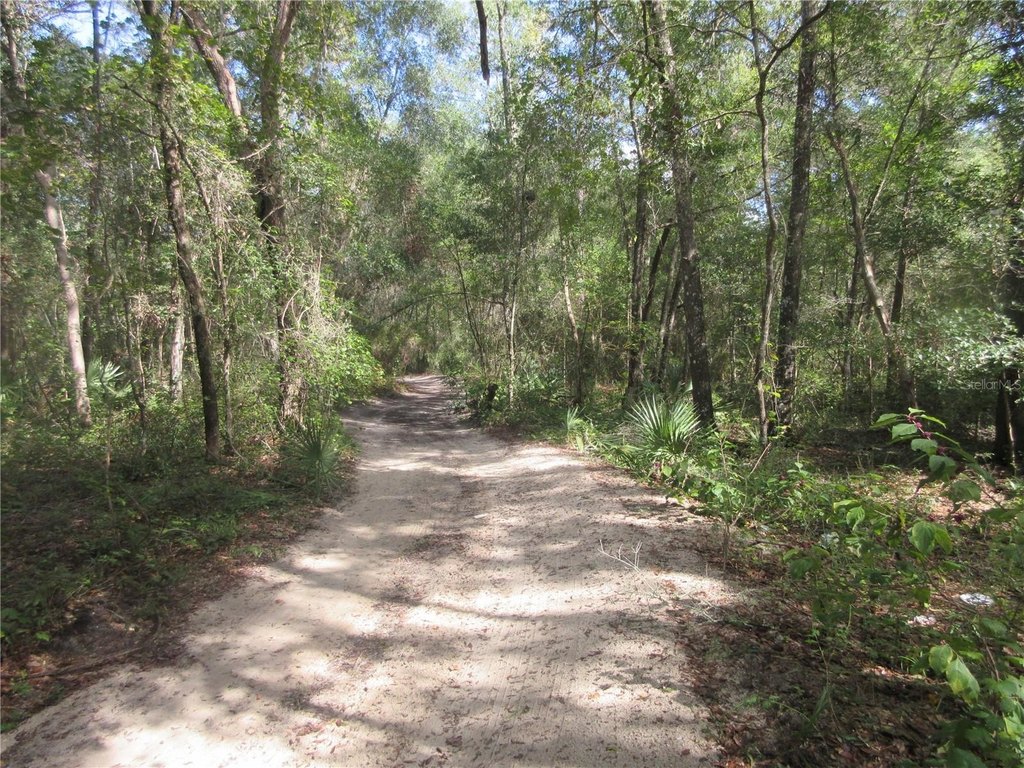 Picture 20