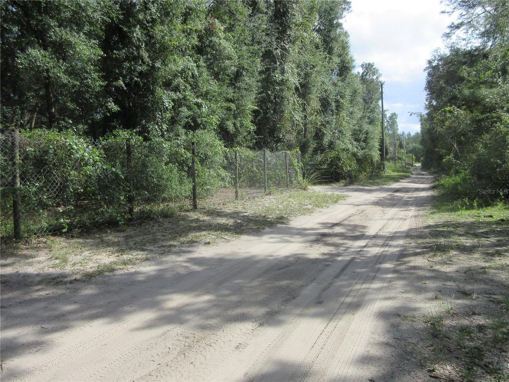 Picture 17