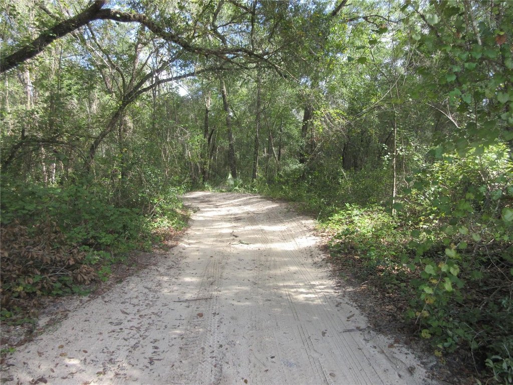 Picture 22