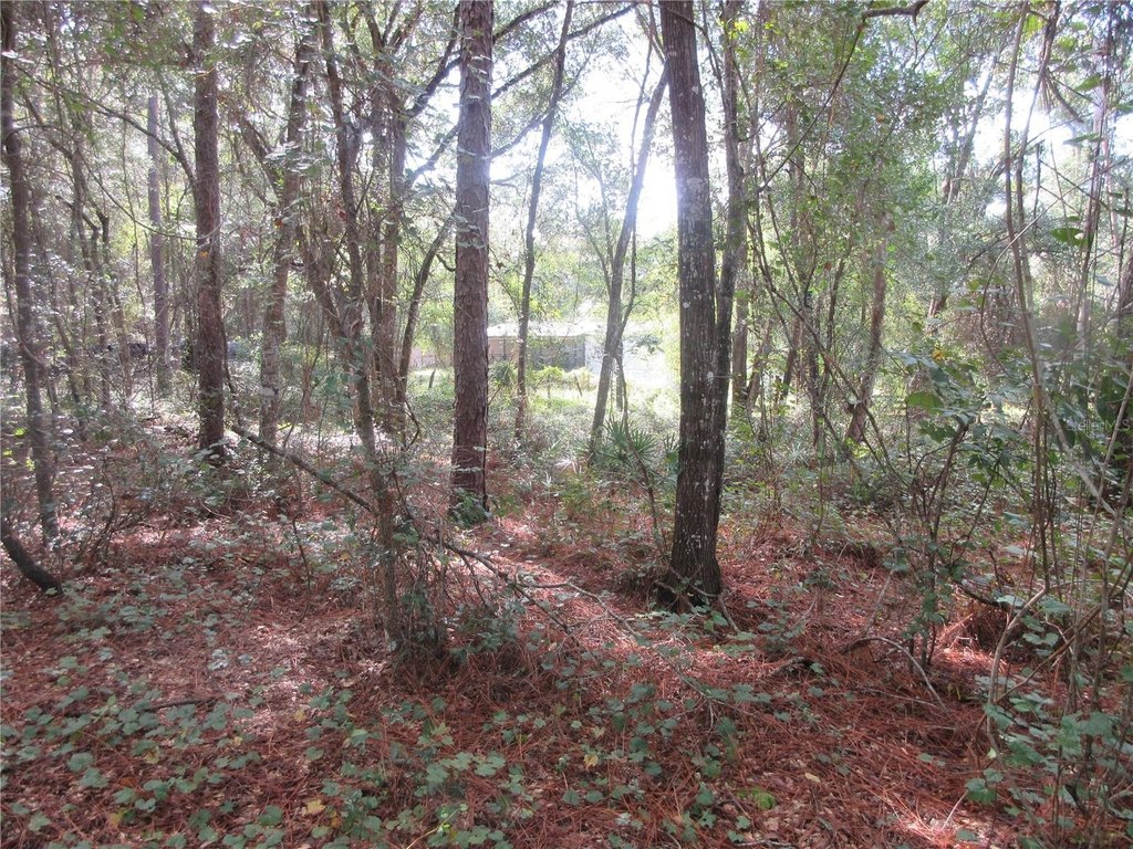 Picture 4