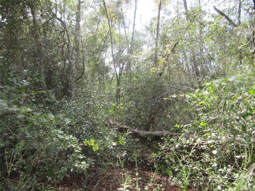 Picture 9