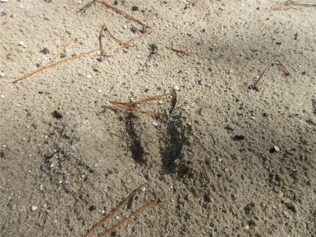 Picture 14