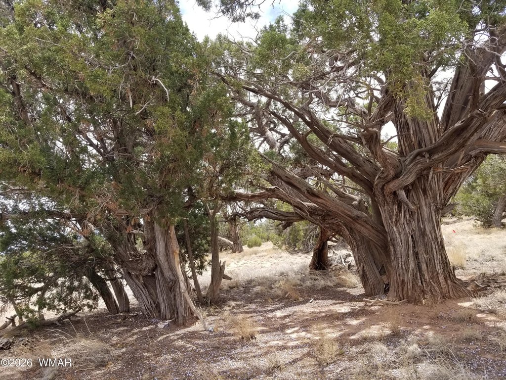 Picture 21