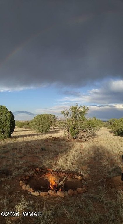 Picture 36