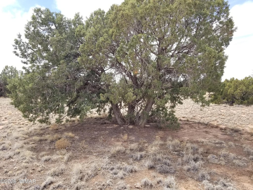 Picture 23