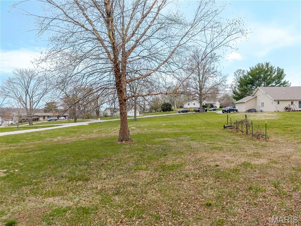 Picture 20