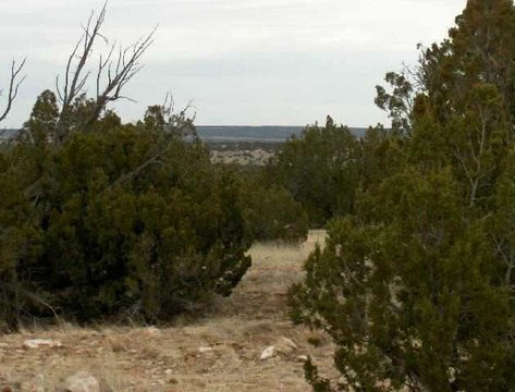 Heber, AZ Land Parcel