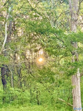 Residential Land in Desirable Area