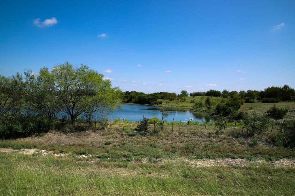 Picture 20