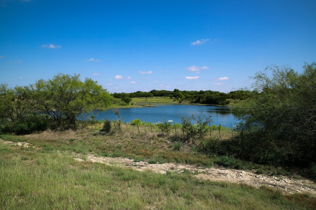 Picture 22