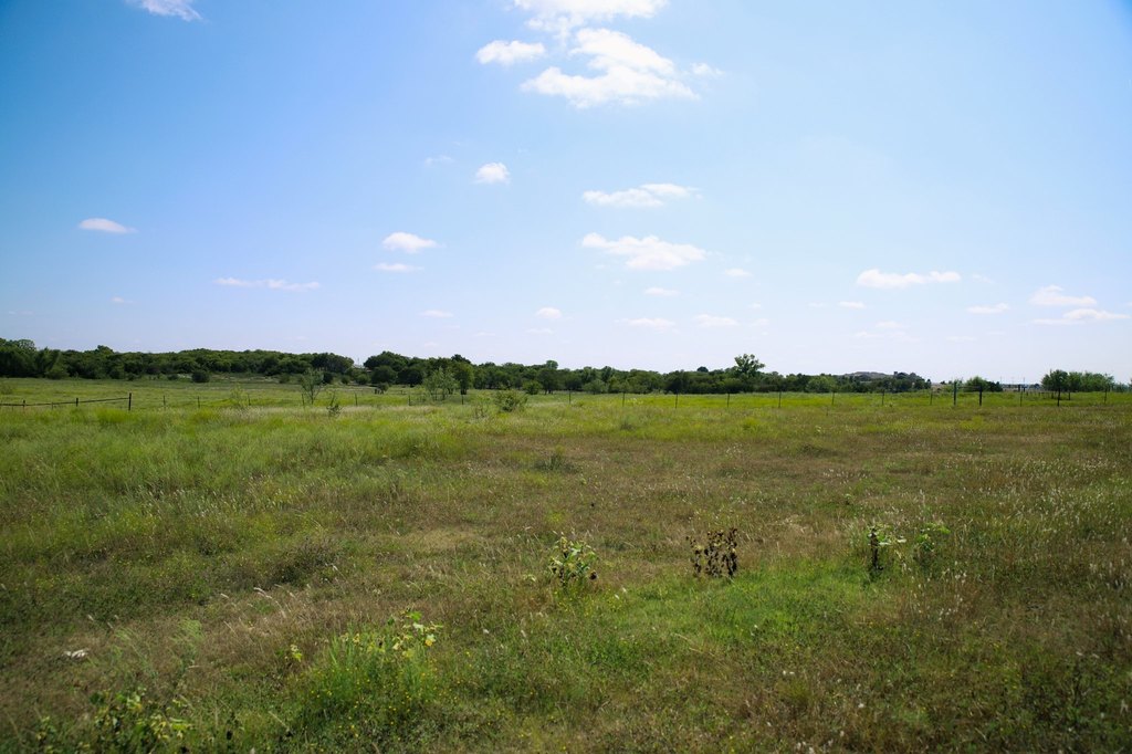 Picture 19
