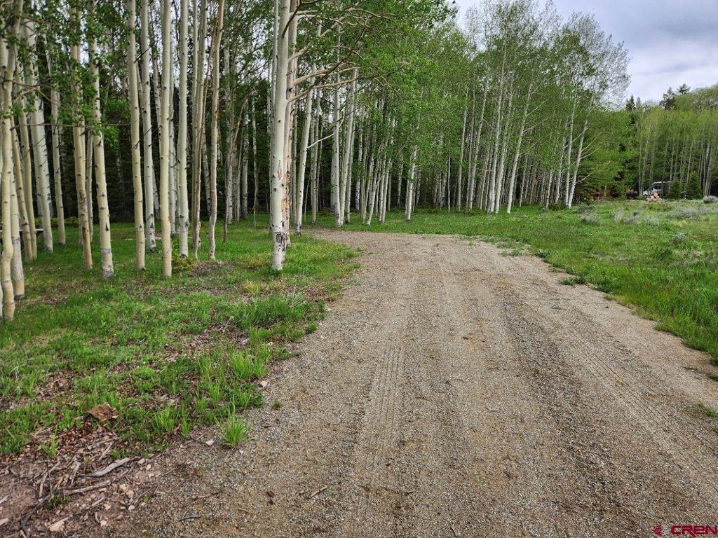 Picture 8
