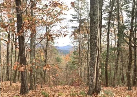 LAND - Ellijay, GA