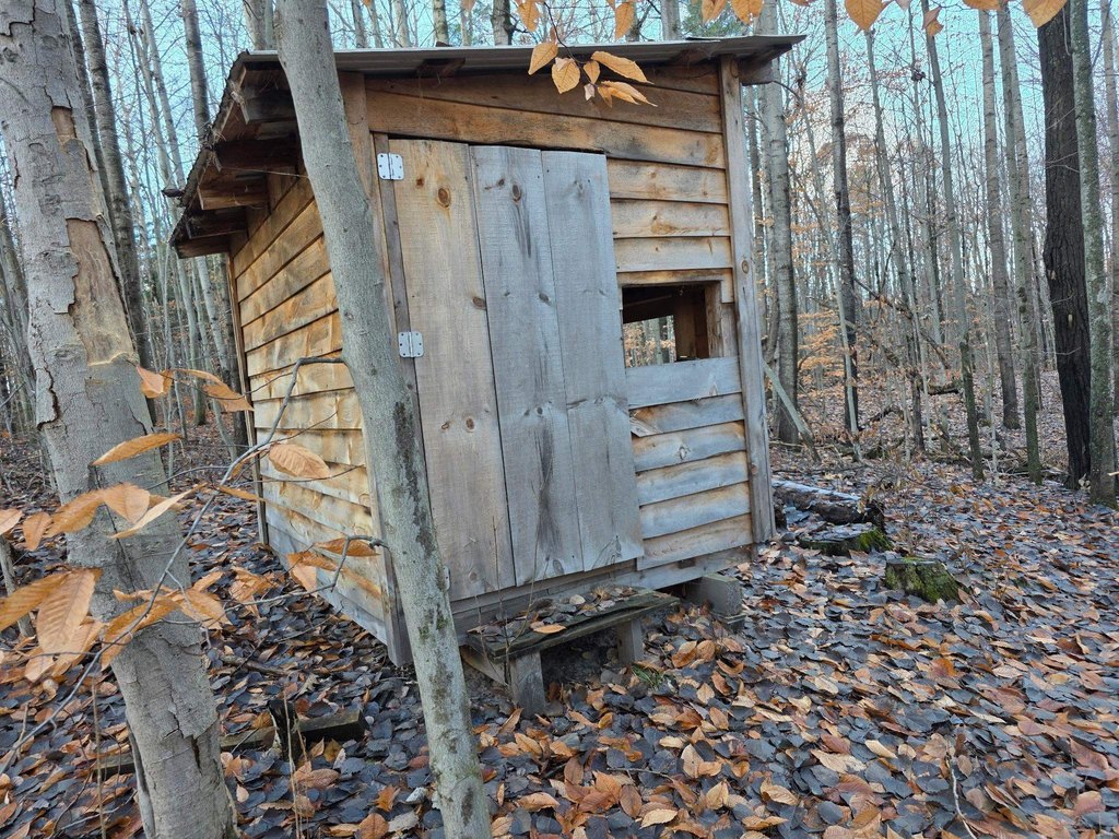 Picture 28