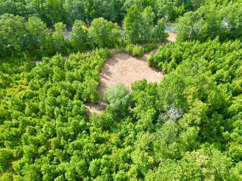 Land, Goshen, AL