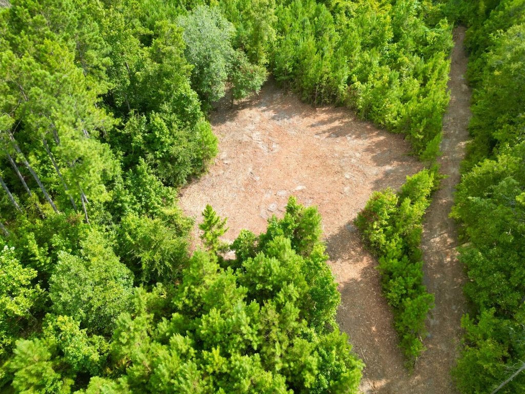 Picture 4
