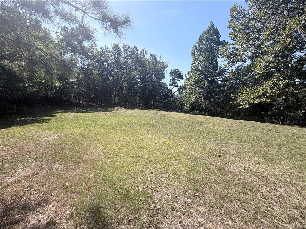 Picture 3