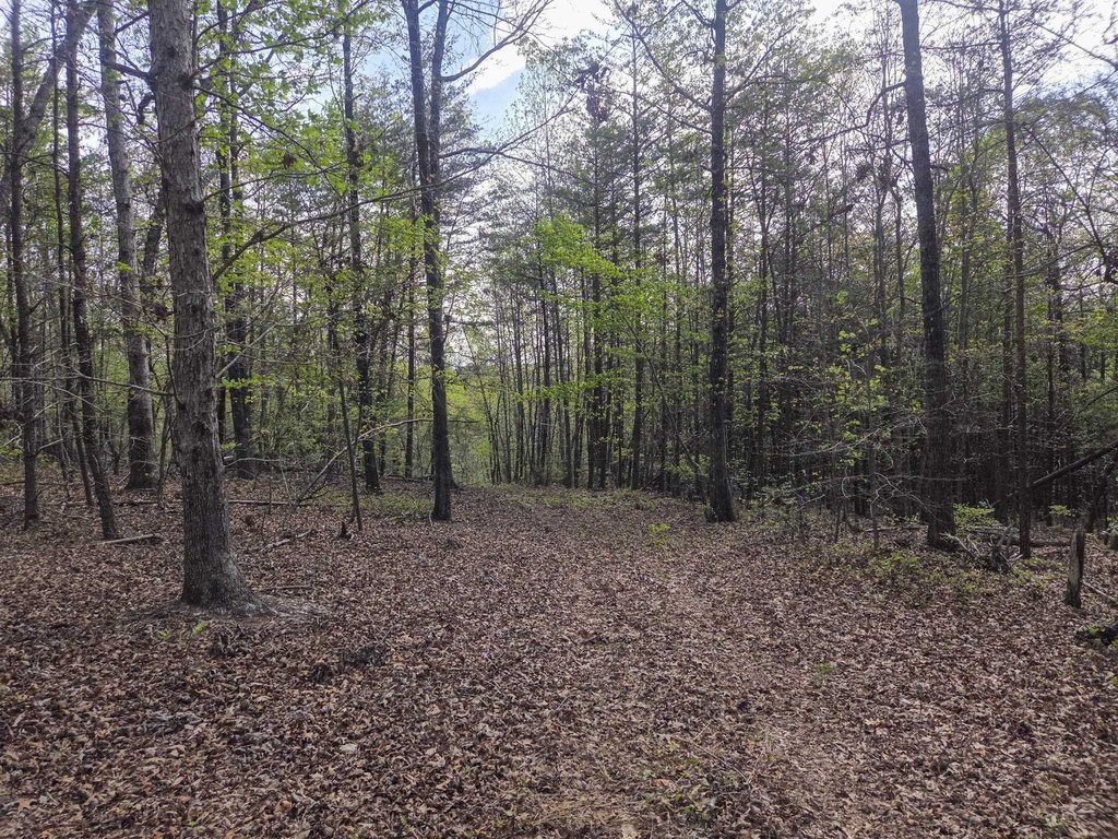 Picture 23