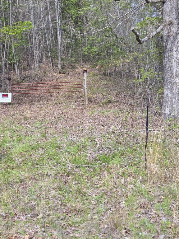 Picture 16