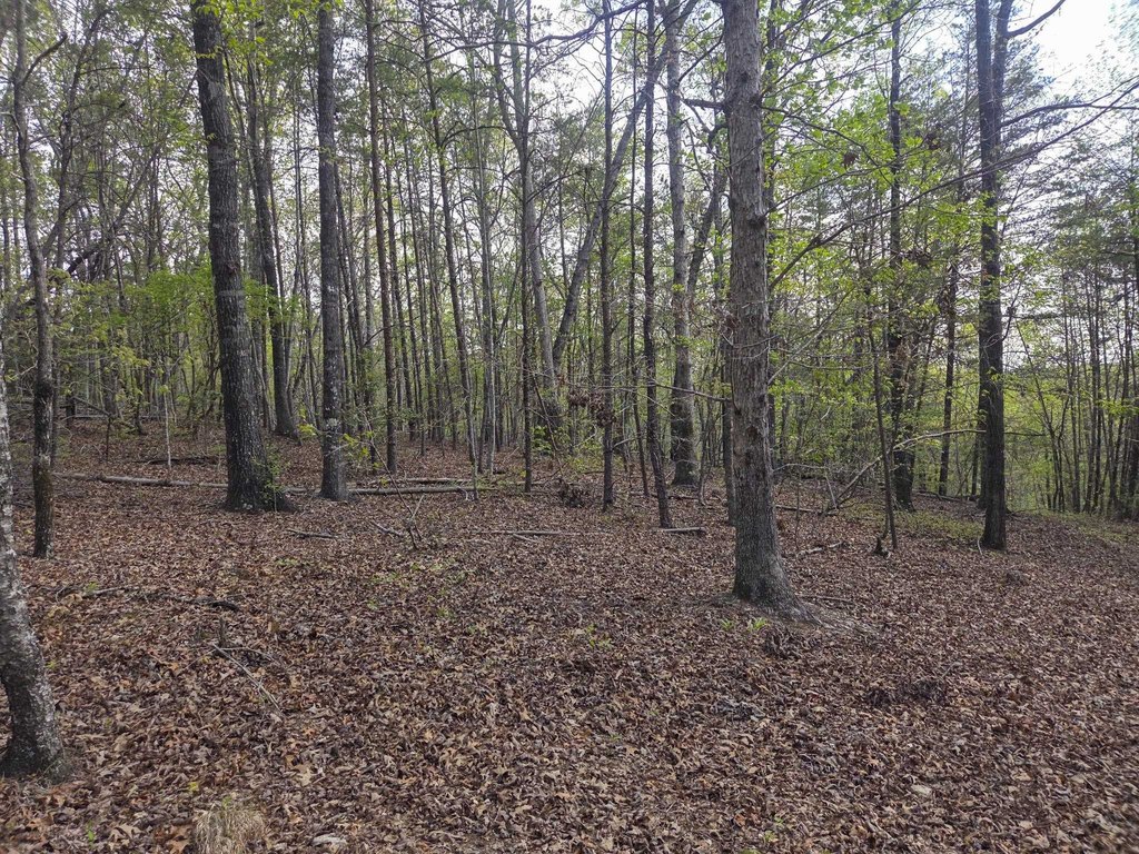 Picture 22