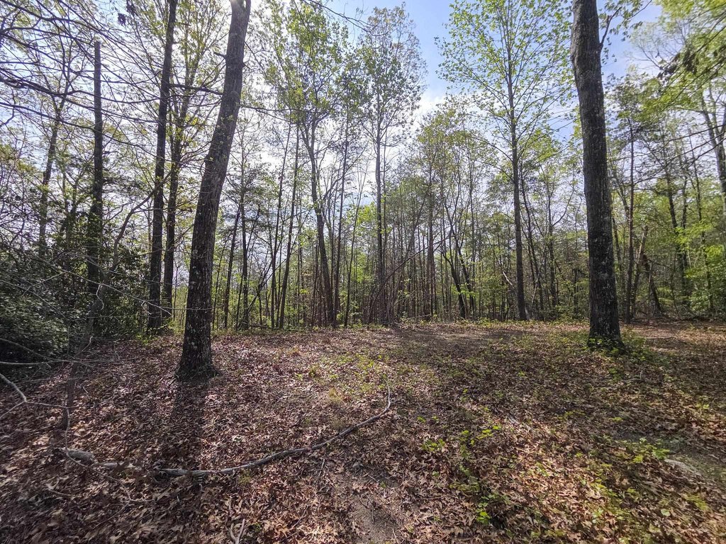 Picture 36