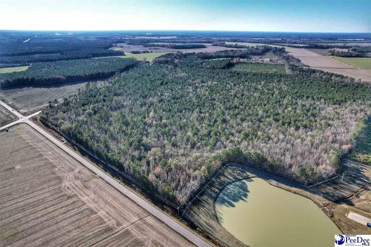 Dillon SC Commercial Development Site