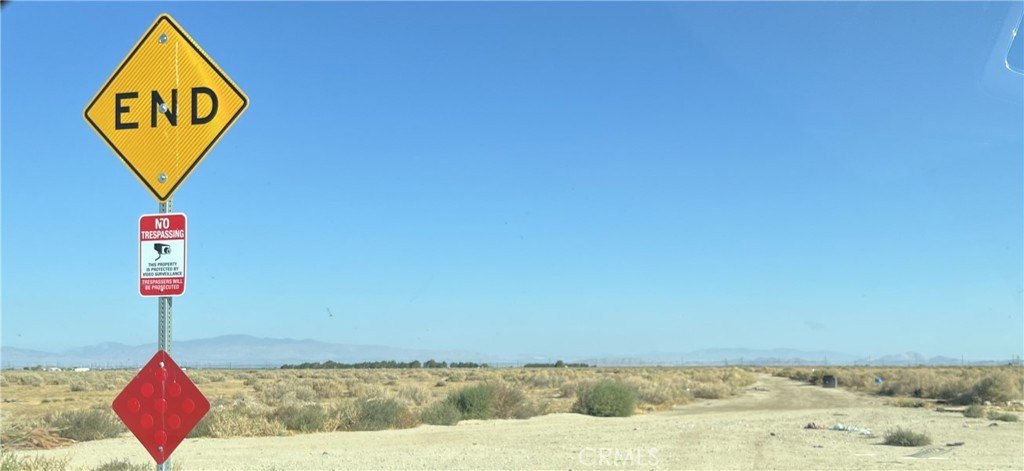 Picture 7