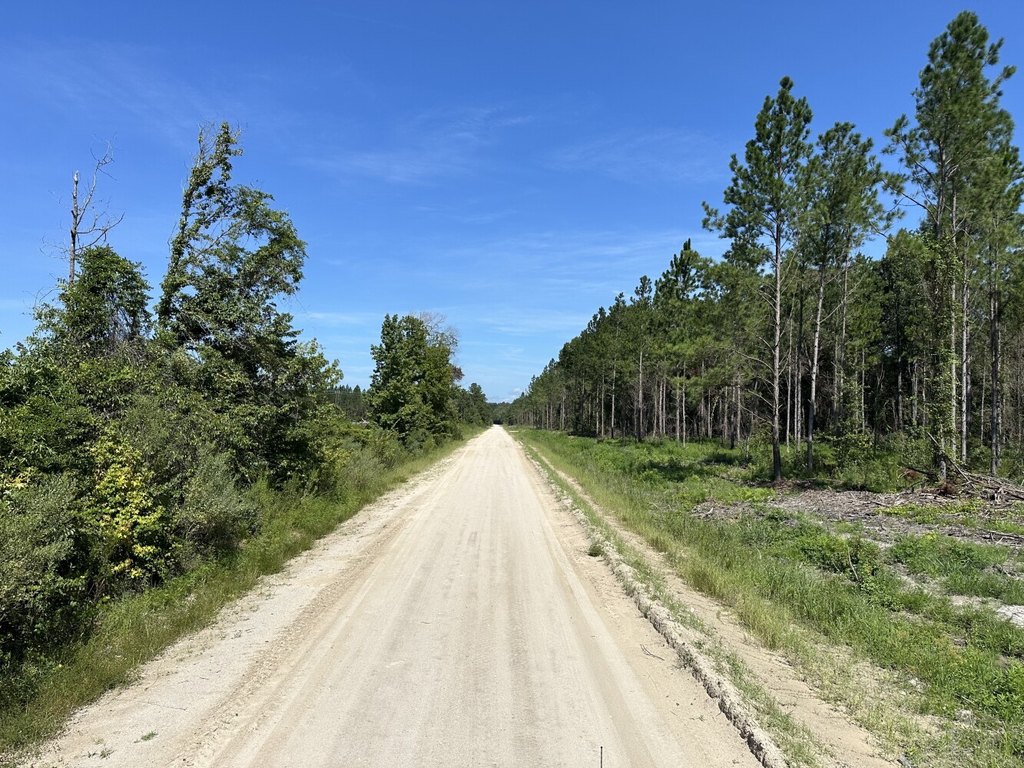 Picture 19