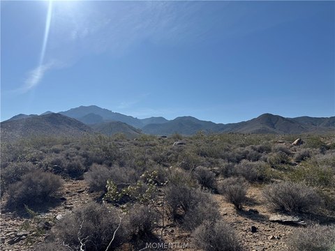 Land, Dolan Springs, AZ