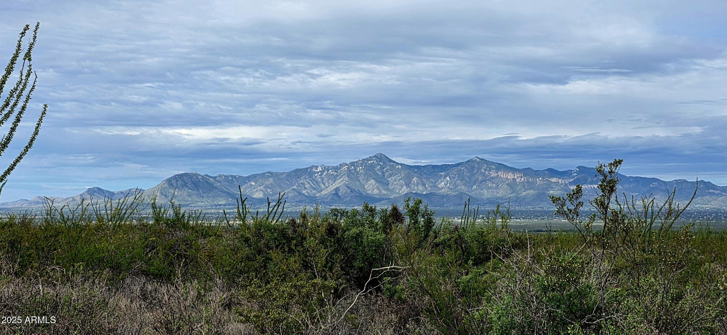 Hereford, AZ Desert Land