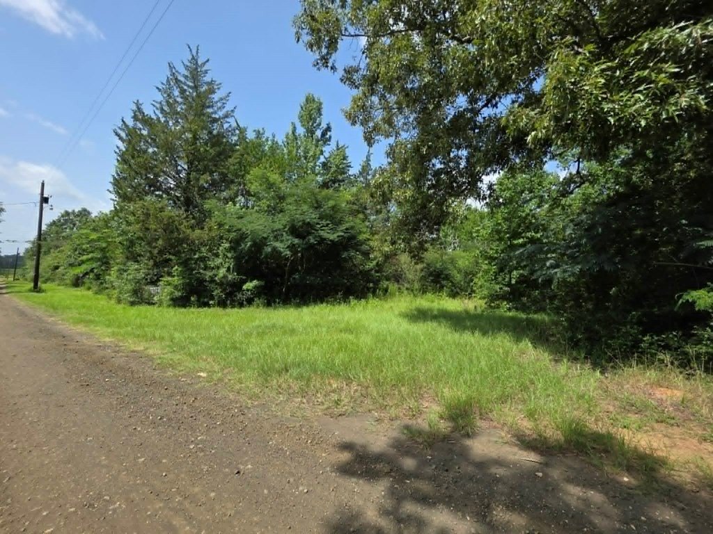 Picture 8