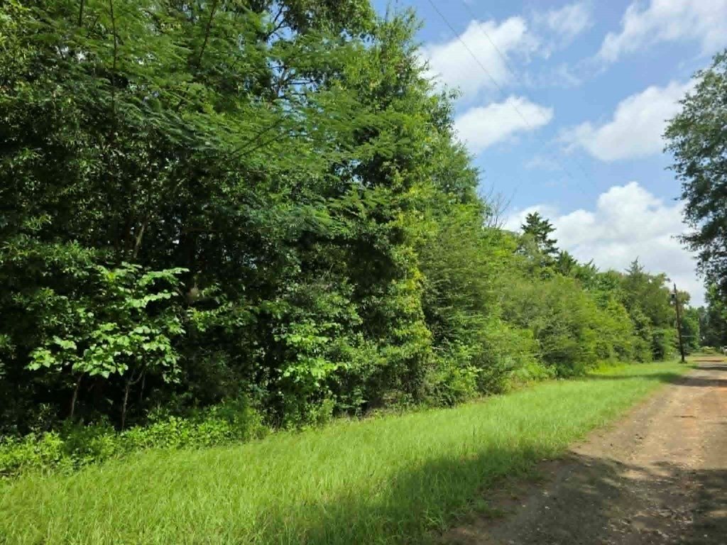 Picture 7