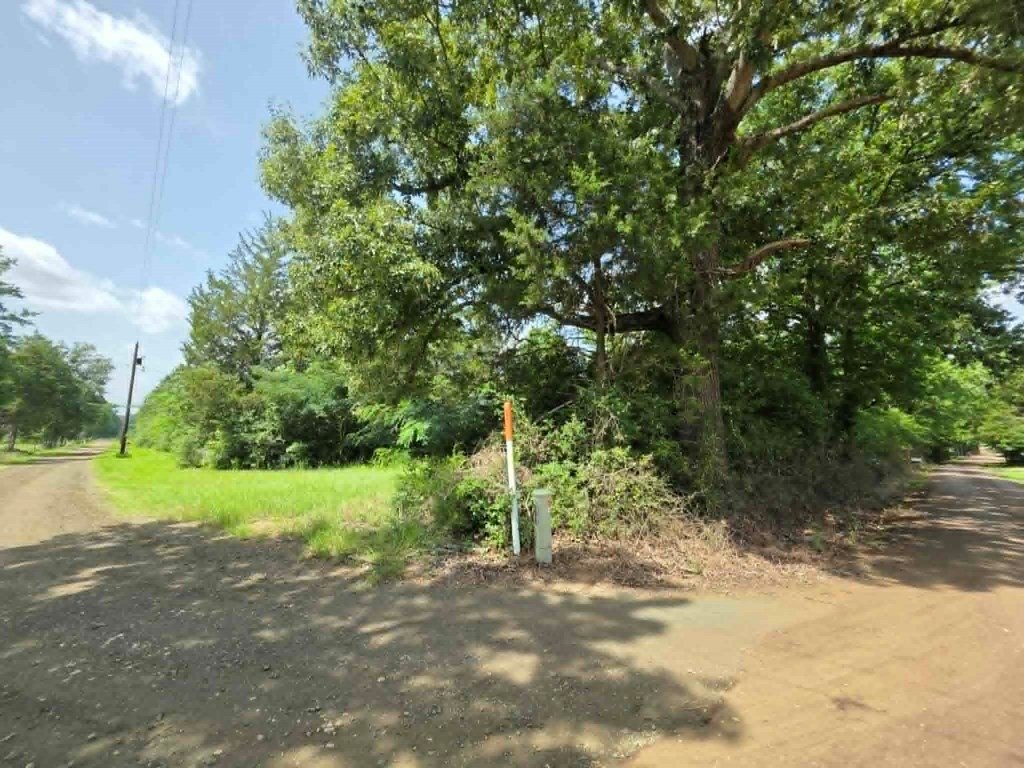 Picture 6