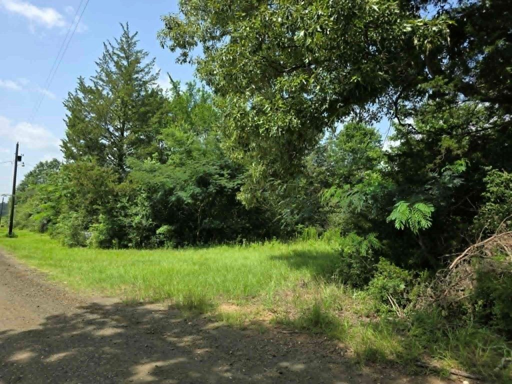 Picture 9