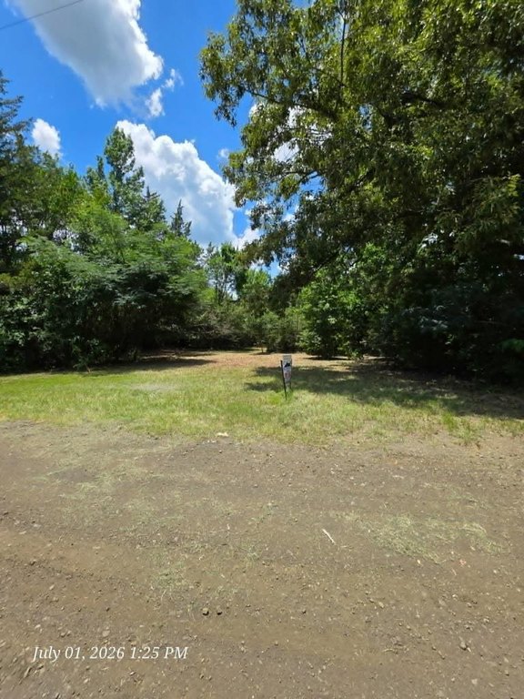 Picture 2