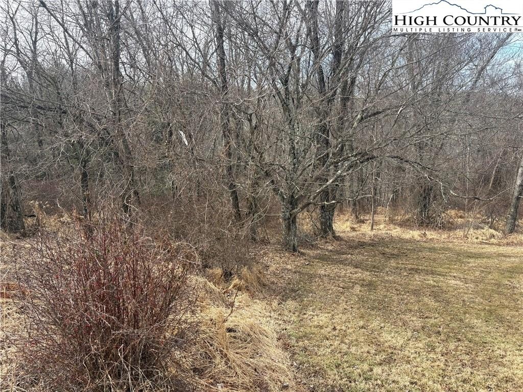 Residential Lot in Alleghany Manor