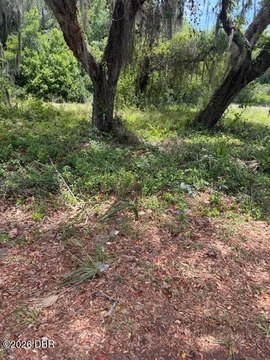 LAND - Eustis, FL