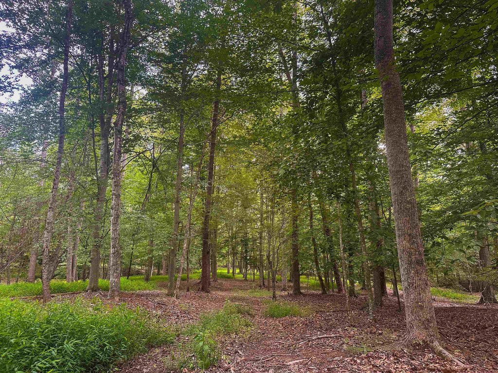 Picture 28