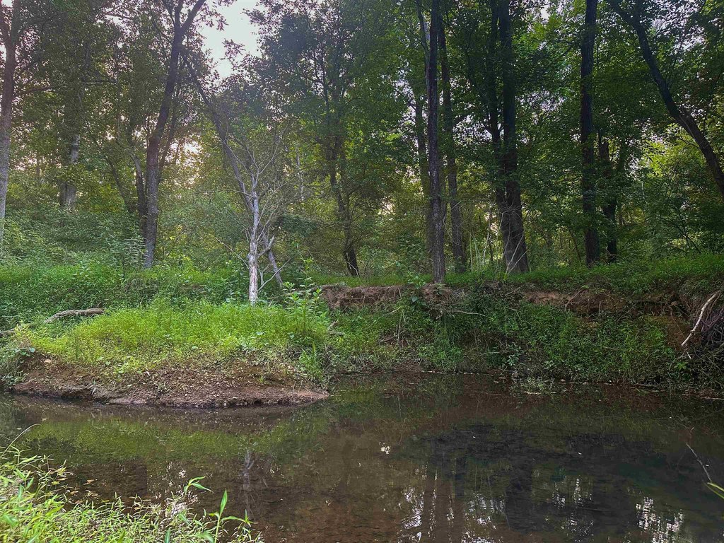 Picture 24