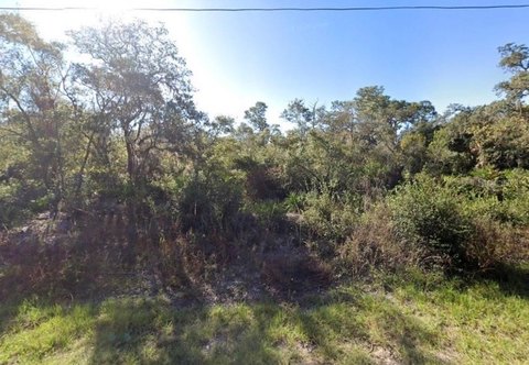 Land - KISSIMMEE, FL