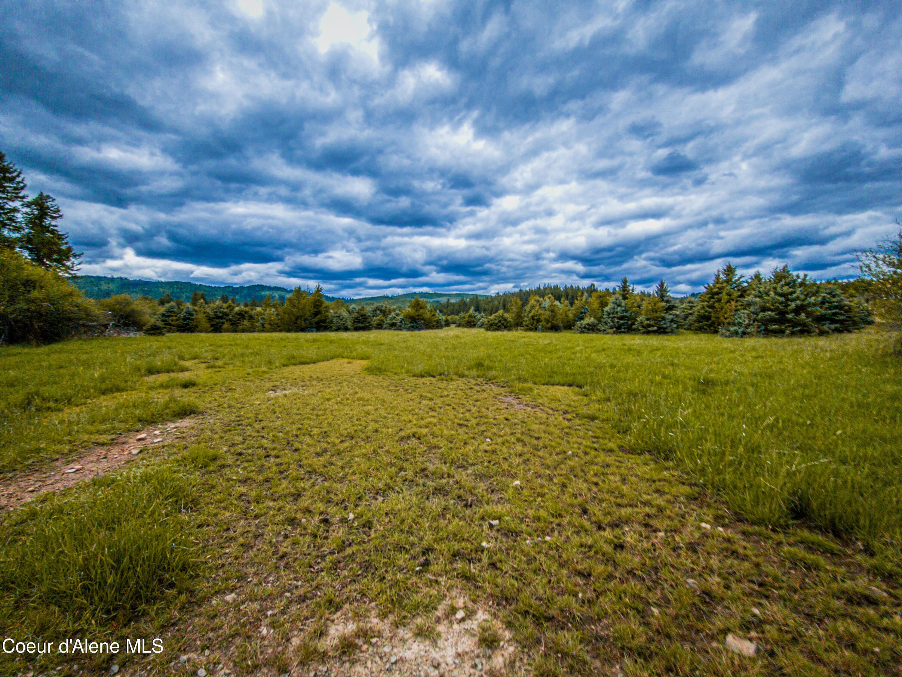 20 Acre Parcel in St. Maries