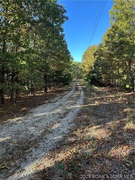 Secluded Timbered Land Near Gravois