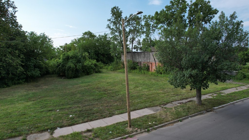 Picture 6