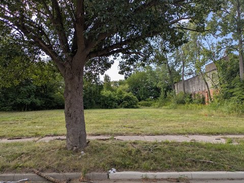 Land, Detroit, MI