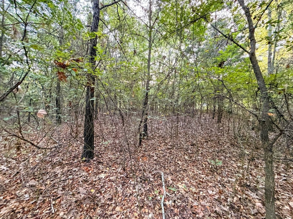 Picture 18