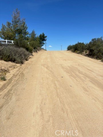 Picture 14