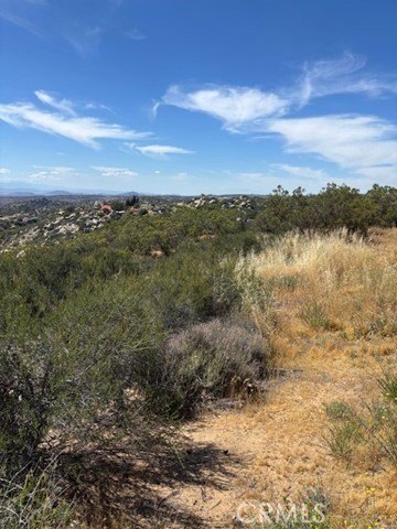 Picture 18