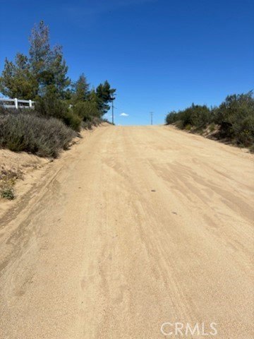 Picture 12