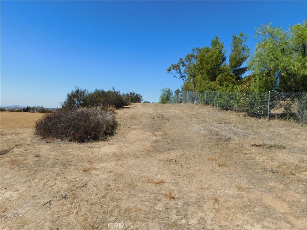 Picture 5