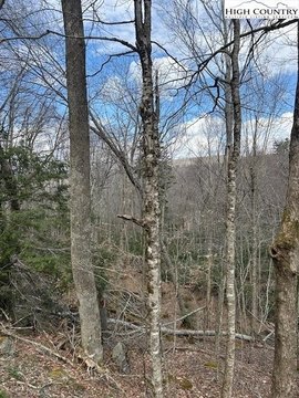 Beech Mountain Land with View